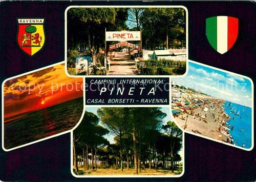 Ravenna italia pineta - pineta, casal